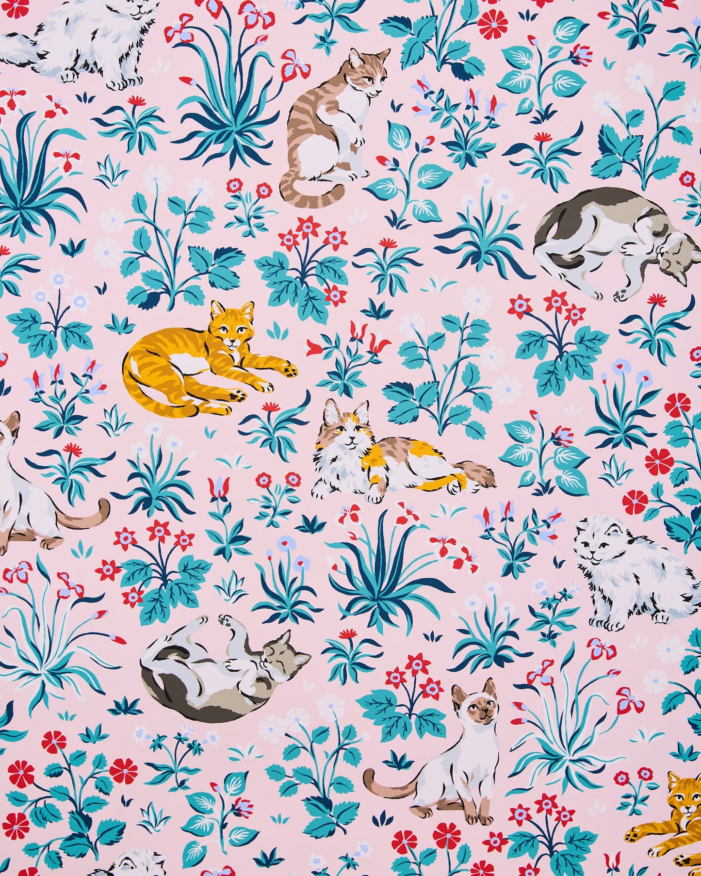 Must Love Cats - Peel & Stick Wallpaper - Pink - Printfresh