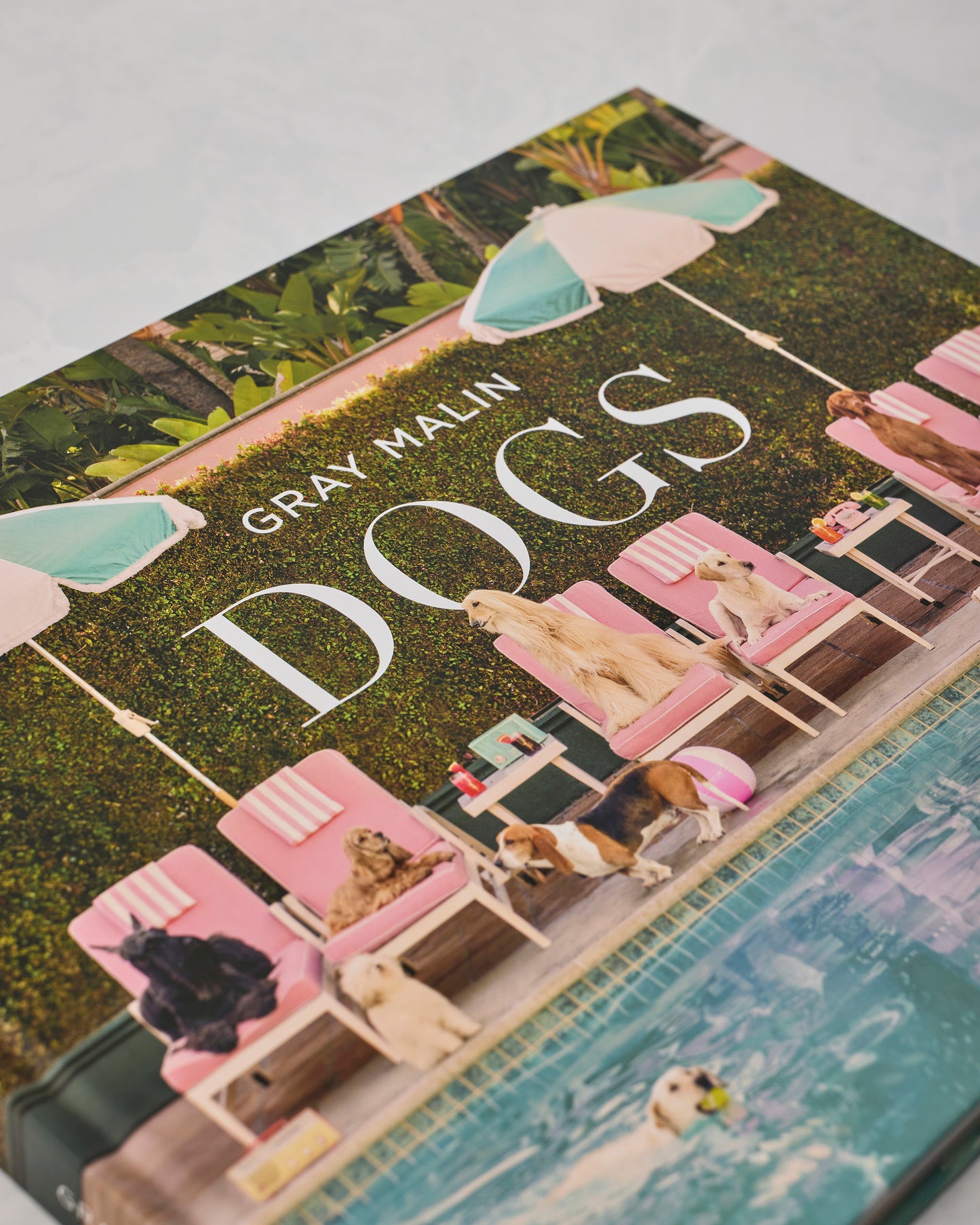 Multi - Gray Malin: Dogs - Abrams