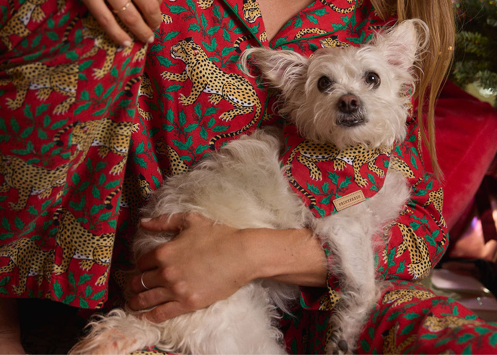 Person holding a small dog, with both wearing matching red garments patterned with spotted cats and holly leaves.