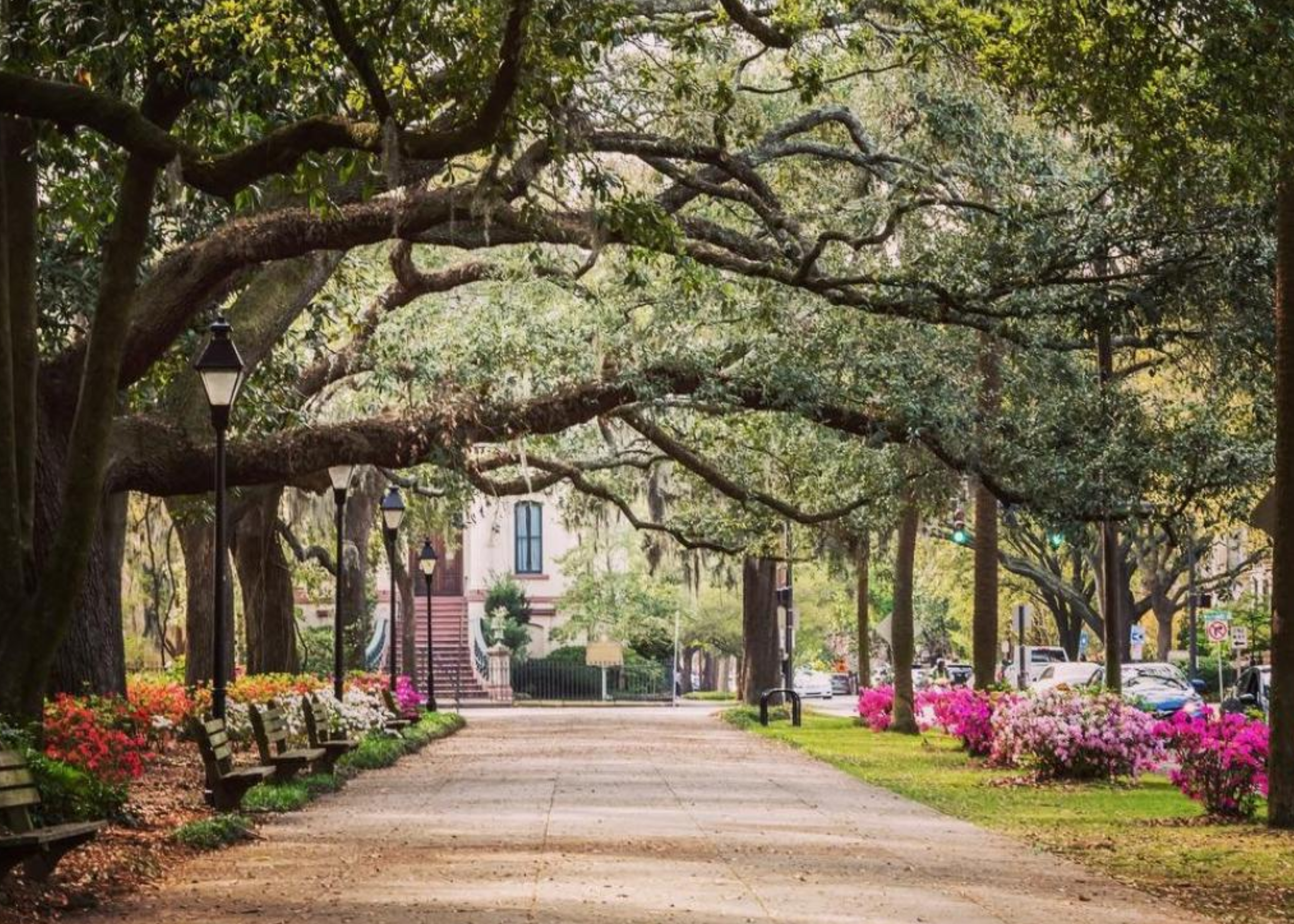 Printfresh Travel Guide: Savannah, GA