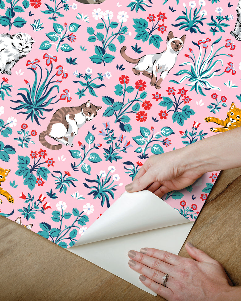 Must Love Cats - Peel & Stick Wallpaper - Pink - Printfresh