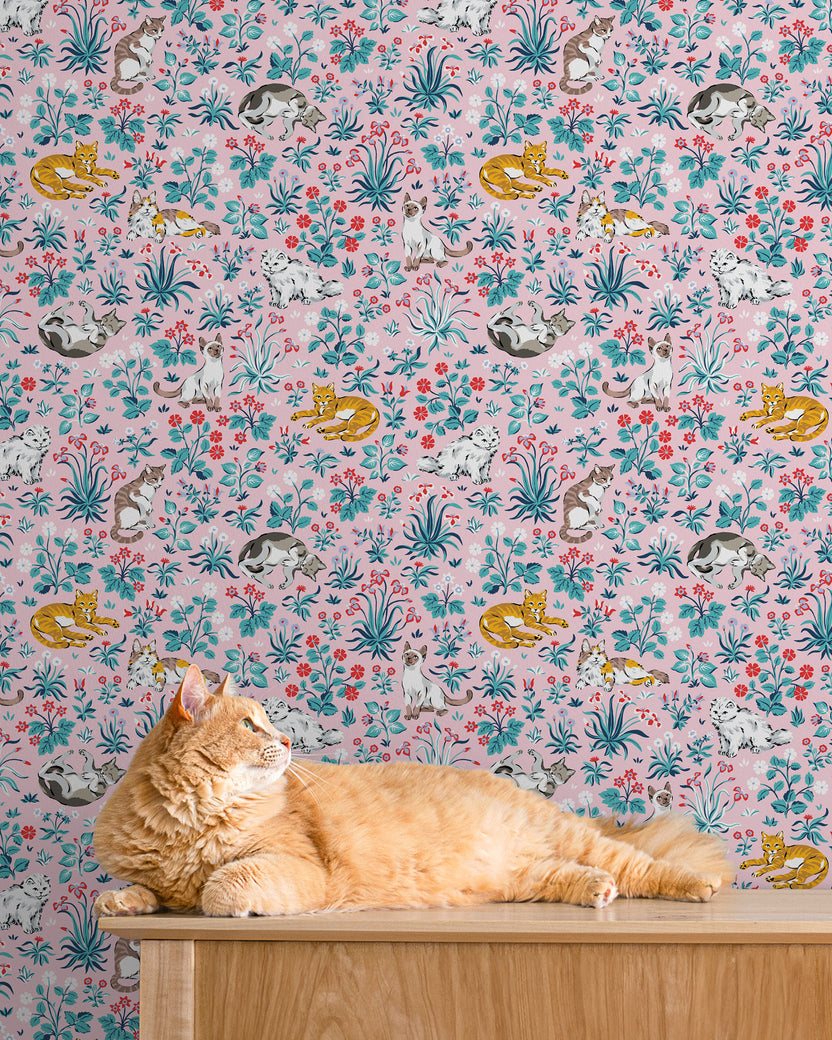 Must Love Cats - Peel & Stick Wallpaper - Pink - Printfresh