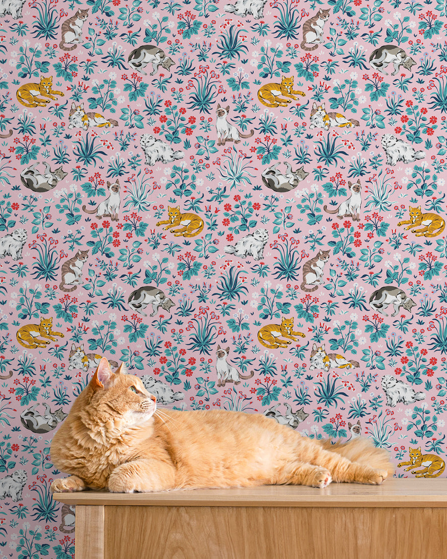 Must Love Cats - Peel & Stick Wallpaper - Pink - Printfresh