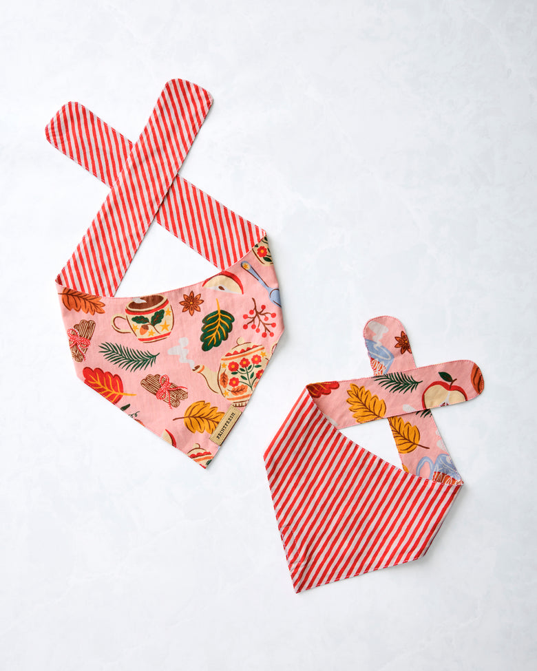 Two pet bandanas displayed on a white background, showing a pink tea-and-autumn print and red-and-white striped fabric.