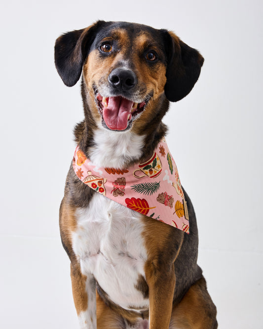 Dog wearing a pink pet bandana with a printed pattern of tea cups, leaves, fruit, and autumn motifs.