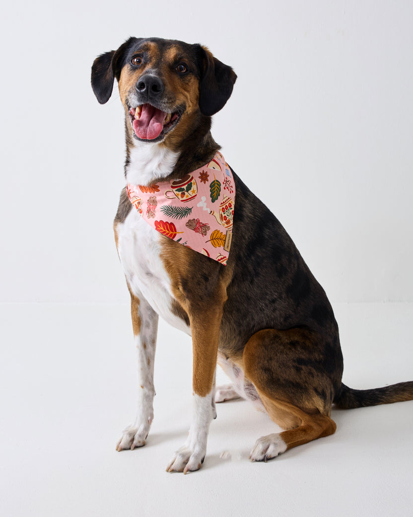 Dog seated in profile wearing a pink patterned pet bandana with tea, leaves, flowers, and seasonal motifs.