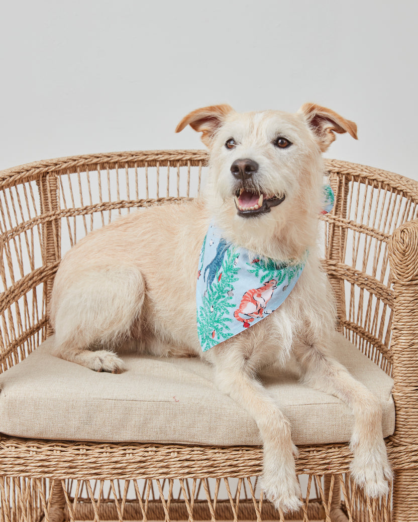 Frisky Firs - Lightweight Flannel Pet Bandana - Twinkling Blue - Printfresh