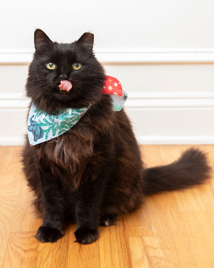 Frisky Firs - Lightweight Flannel Pet Bandana - Twinkling Blue - Printfresh