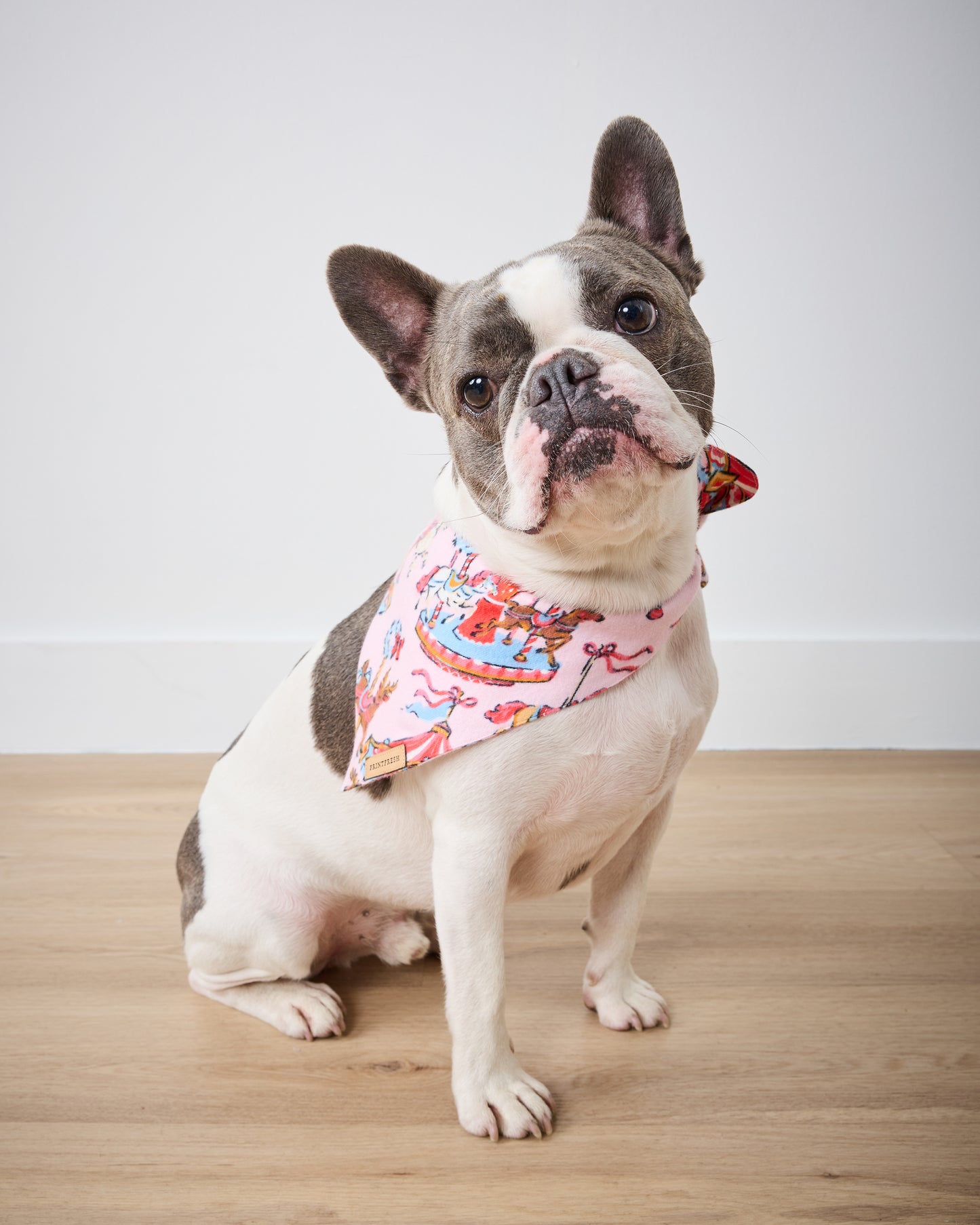 Christmas Carousel - Midweight Flannel Pet Bandana - Pink Garland - Printfresh