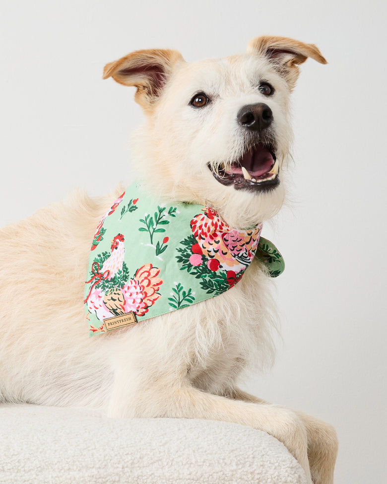 Holiday Hens - Pet Bandana - Sage - Printfresh