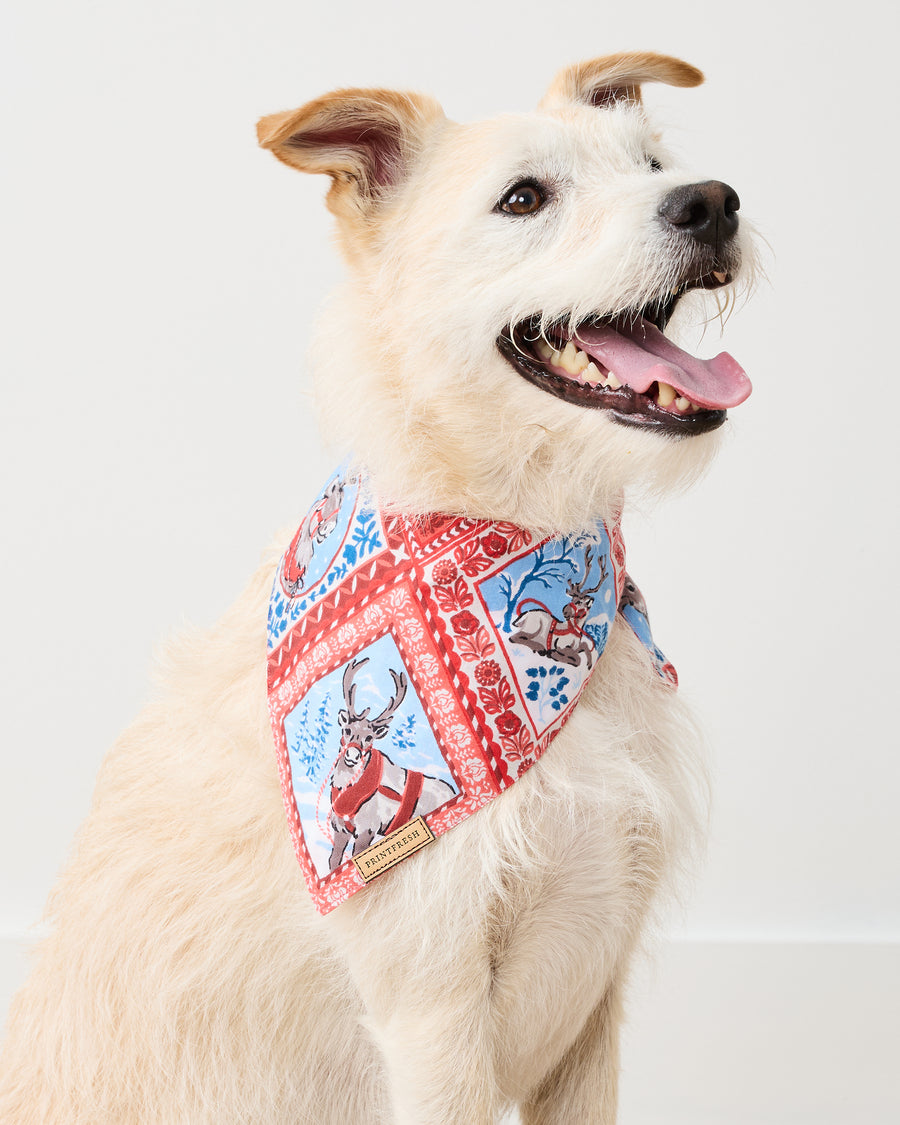 Reindeer Games - Lightweight Flannel Pet Bandana - Red Sleigh - Printfresh