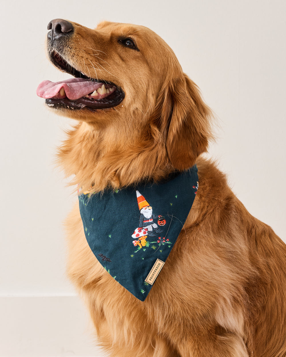 Mischief Night - Pet Bandana - Nightfall Blue - Printfresh
