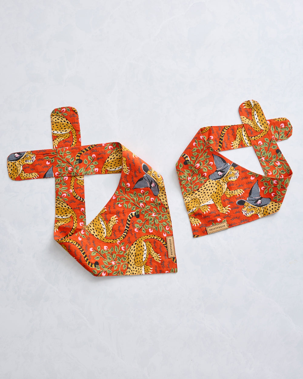 Witchy Bagheera - Pet Bandana - Pumpkin Spice - Printfresh