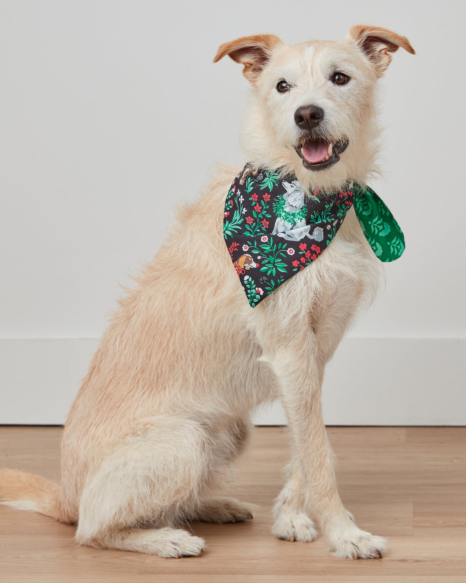 Happy Howlidays - Pet Bandana - Ink - Printfresh