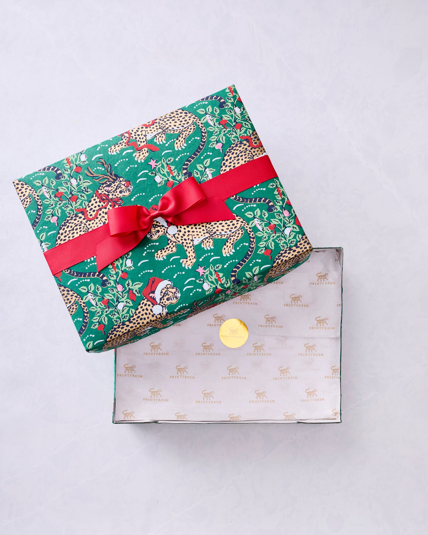 Very Merry Bagheera - Paper Gift Box - Mistletoe - Printfresh