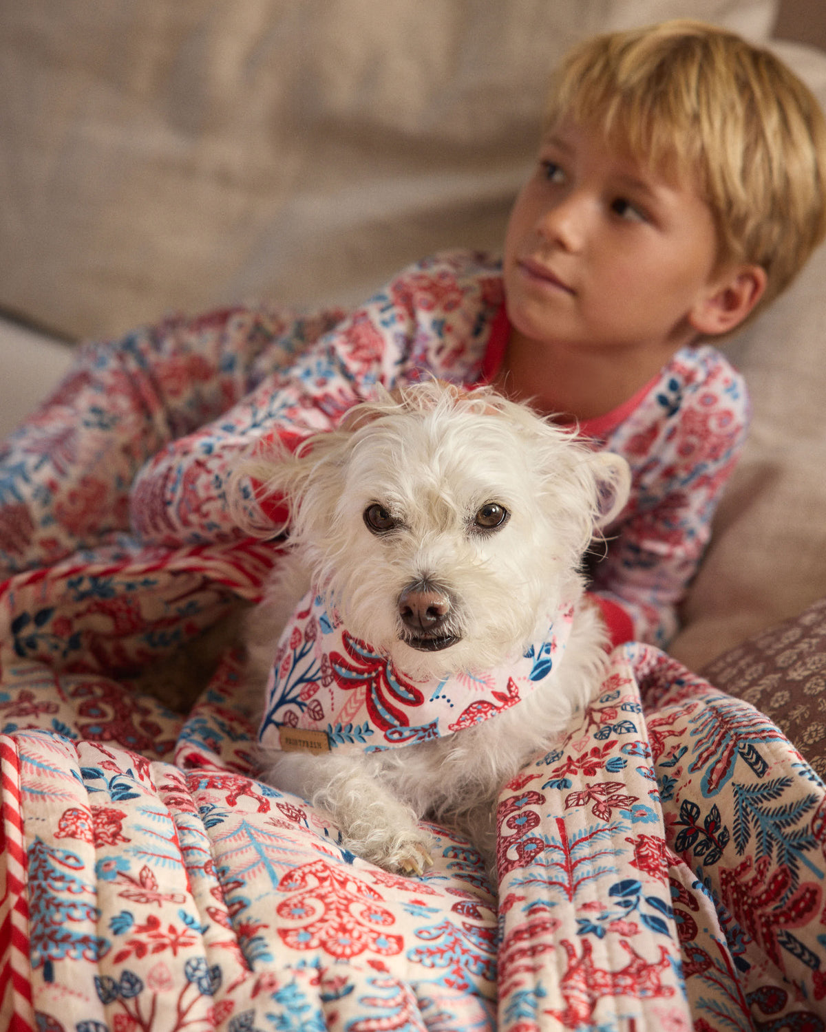 White dog wearing the cream Folklore Forest patterned bandana, with matching patterned clothing and a person visible behind.