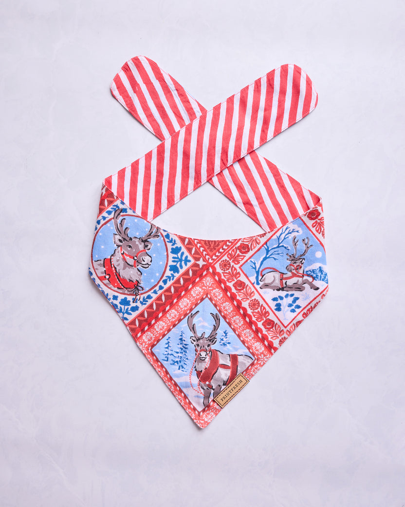 Reindeer Games - Lightweight Flannel Pet Bandana - Red Sleigh - Printfresh
