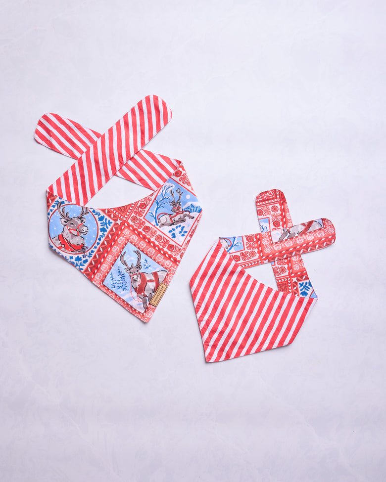 Reindeer Games - Lightweight Flannel Pet Bandana - Red Sleigh - Printfresh