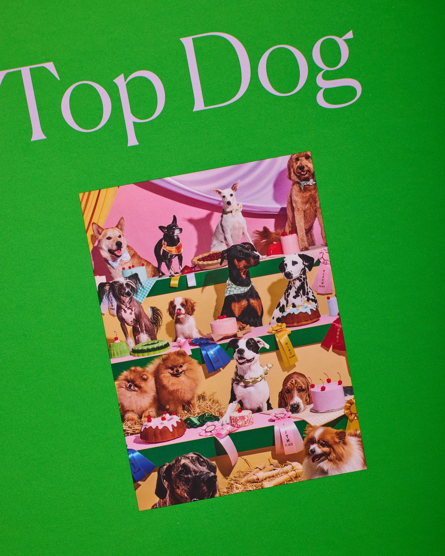 1000 Pieces - Top Dog - 1000 Piece Puzzle - Piecework Puzzles - Printfresh