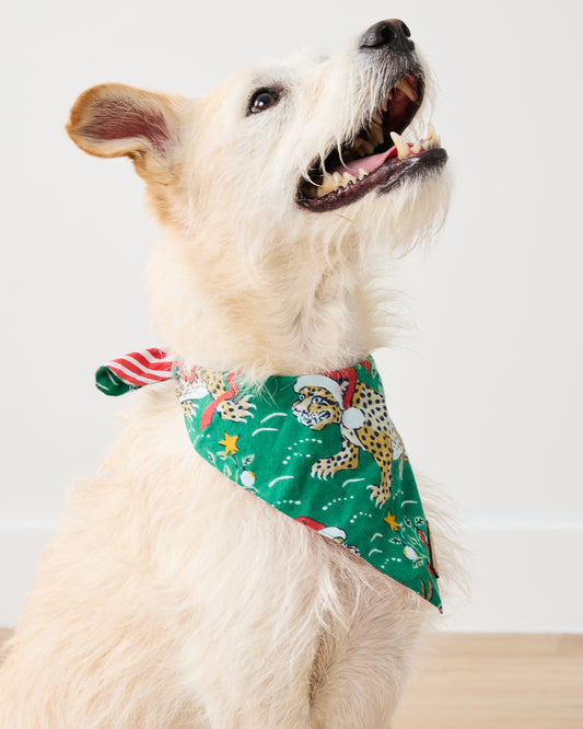 Very Merry Bagheera - Lightweight Flannel Pet Bandana - Mistletoe - Printfresh