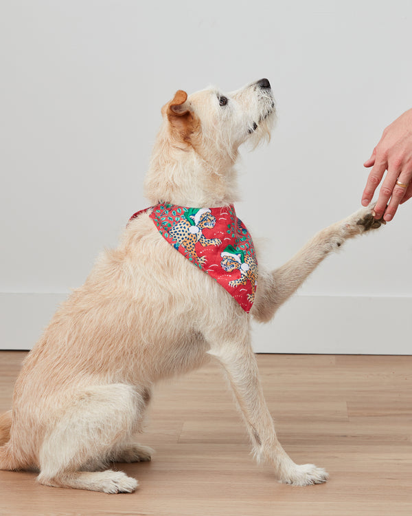 Holly Jolly Bagheera - Flannel Pet Bandana - Ruby - Printfresh