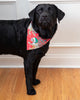 Holly Jolly Bagheera - Flannel Pet Bandana - Ruby - Printfresh