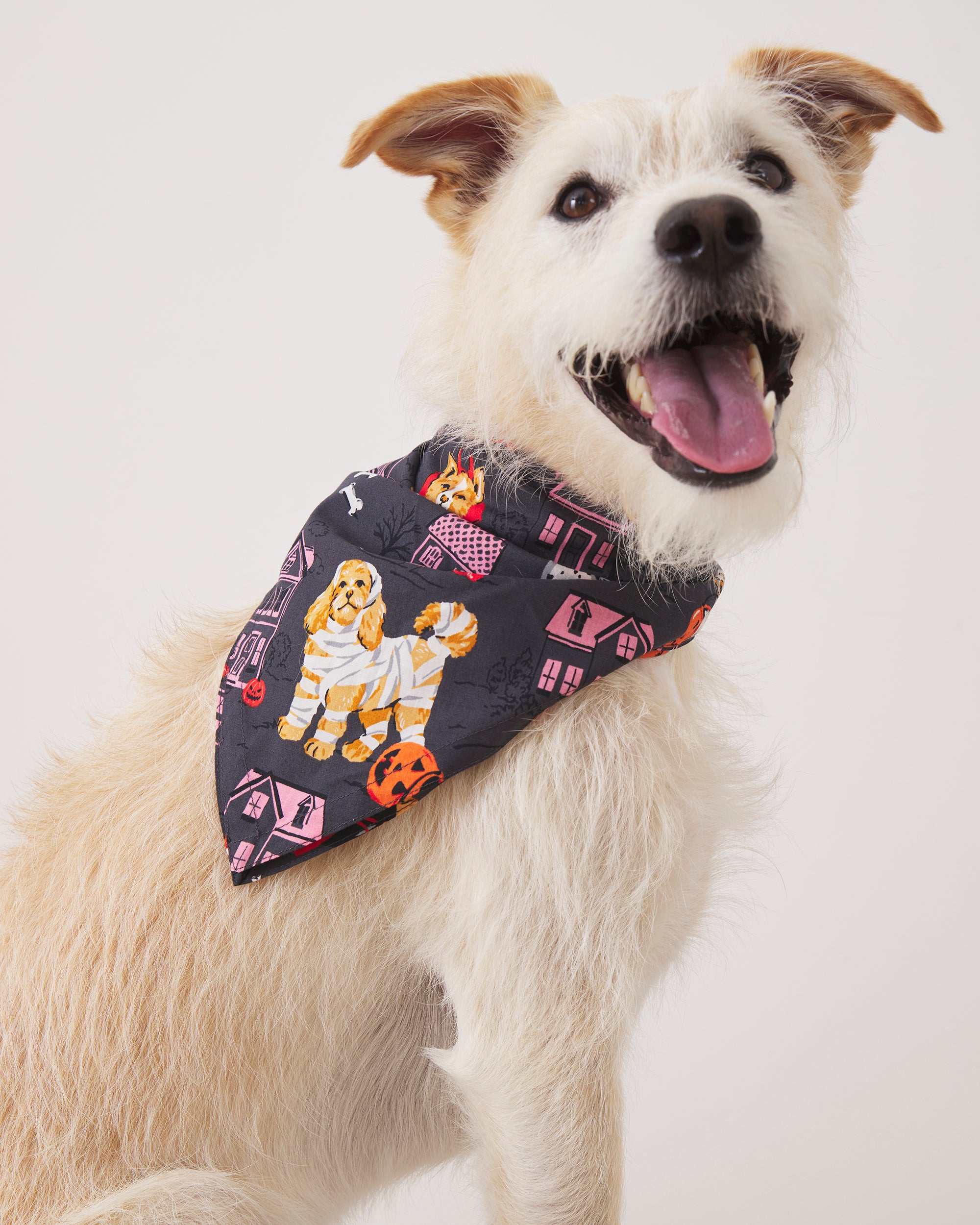 Howloween Night - Pet Bandana - Moon Rock - Printfresh