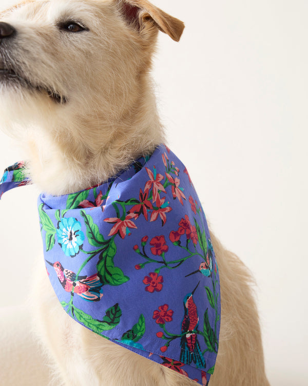 Hummingbird Haven - Pet Bandana - Crocus - Printfresh