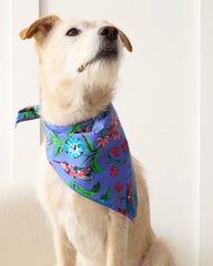 Hummingbird Haven - Pet Bandana - Crocus - Printfresh