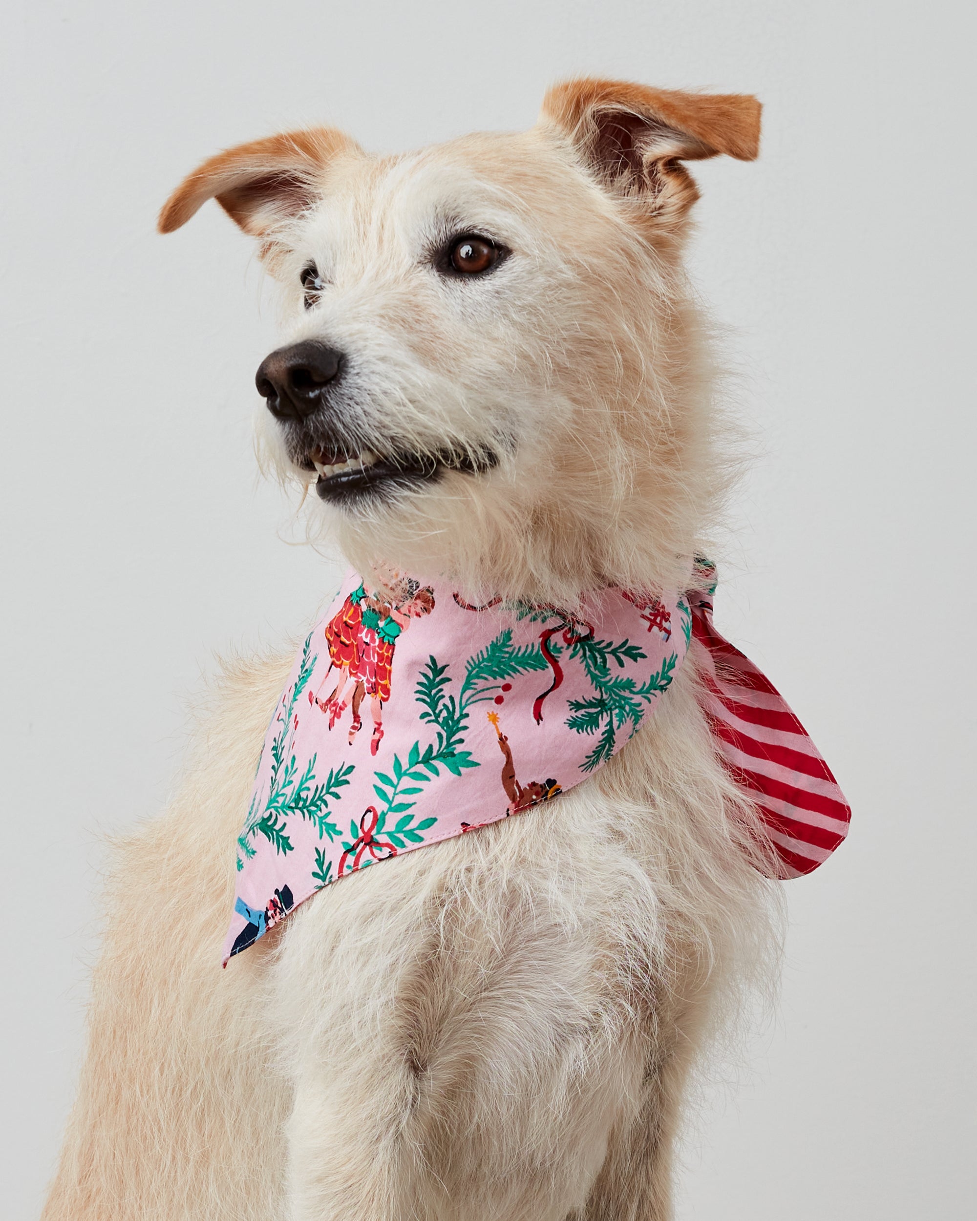 Nutcracker Dreams - Pet Bandana - Ballet Pink - Printfresh