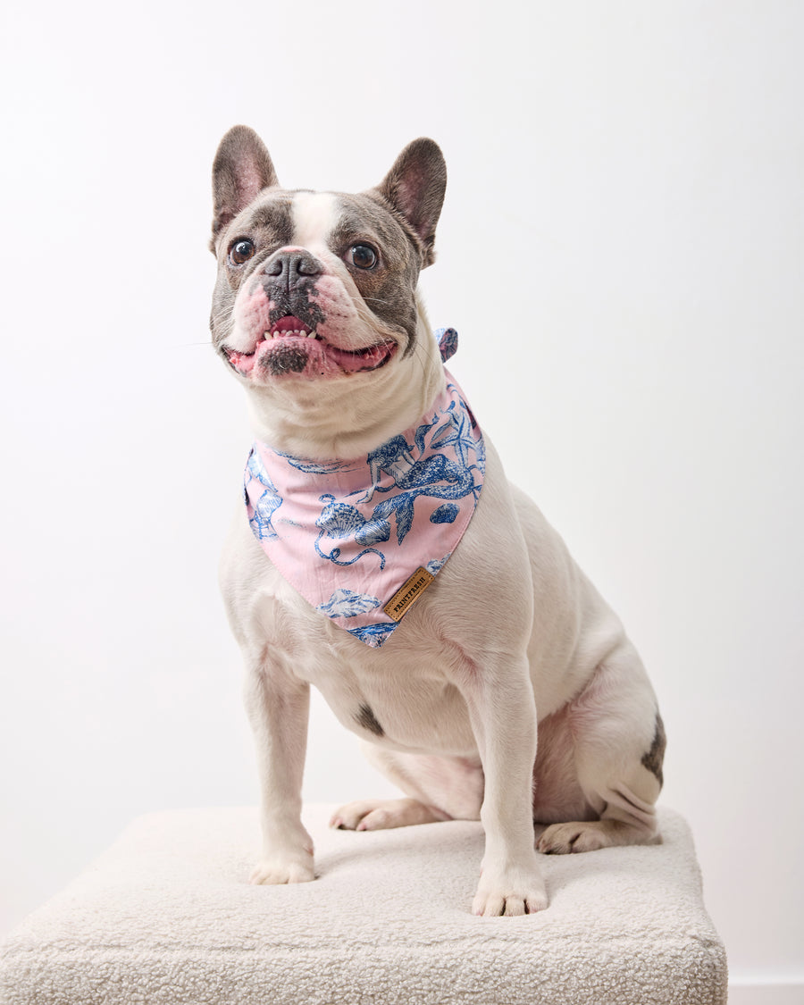Mermaid Toile - Pet Bandana - Blush - Printfresh