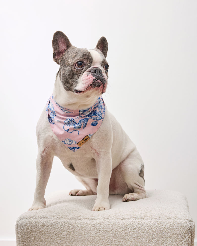 Mermaid Toile - Pet Bandana - Blush - Printfresh