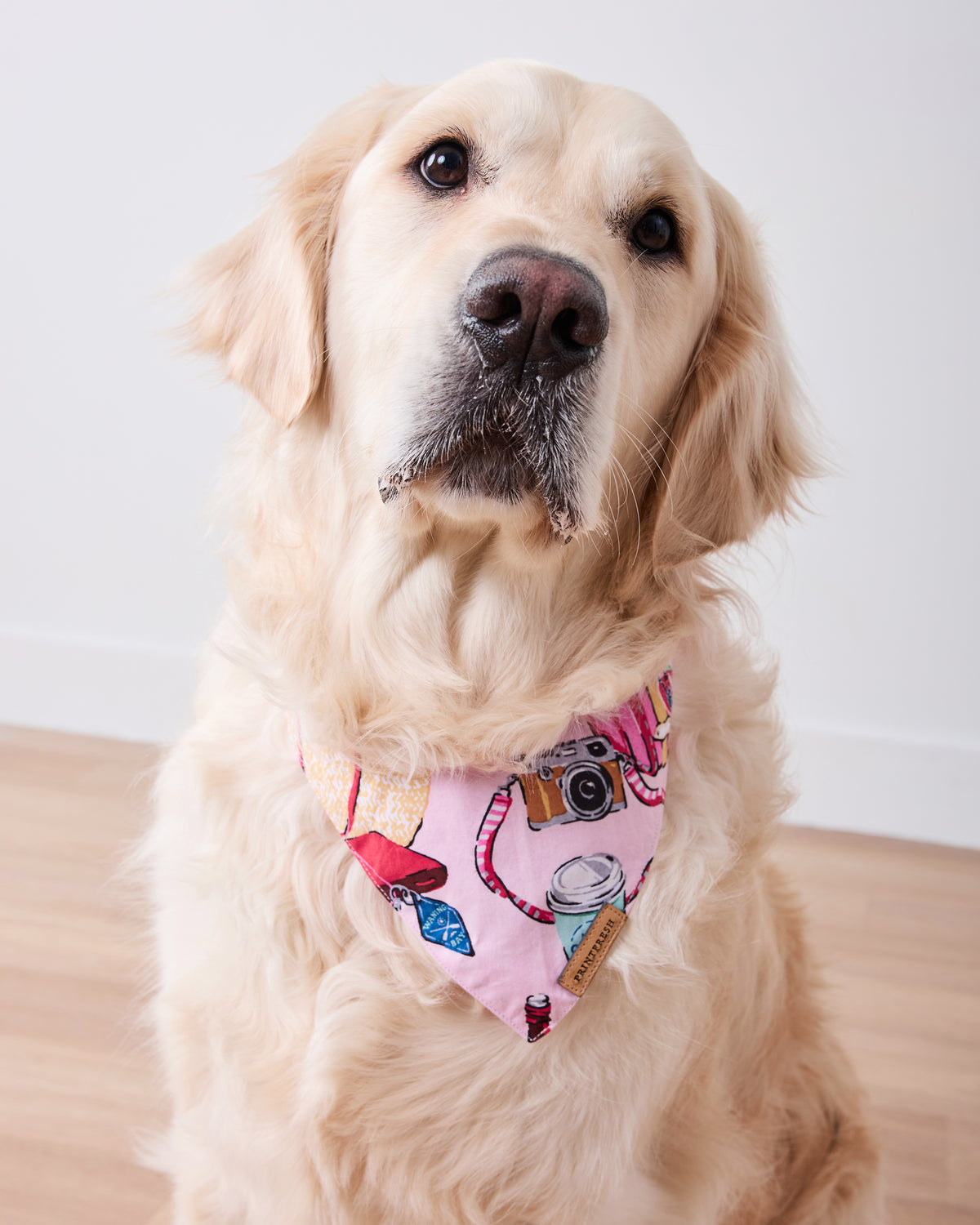 Golden-colored dog wearing the Happy Place Pink illustrated pet bandana around its neck.