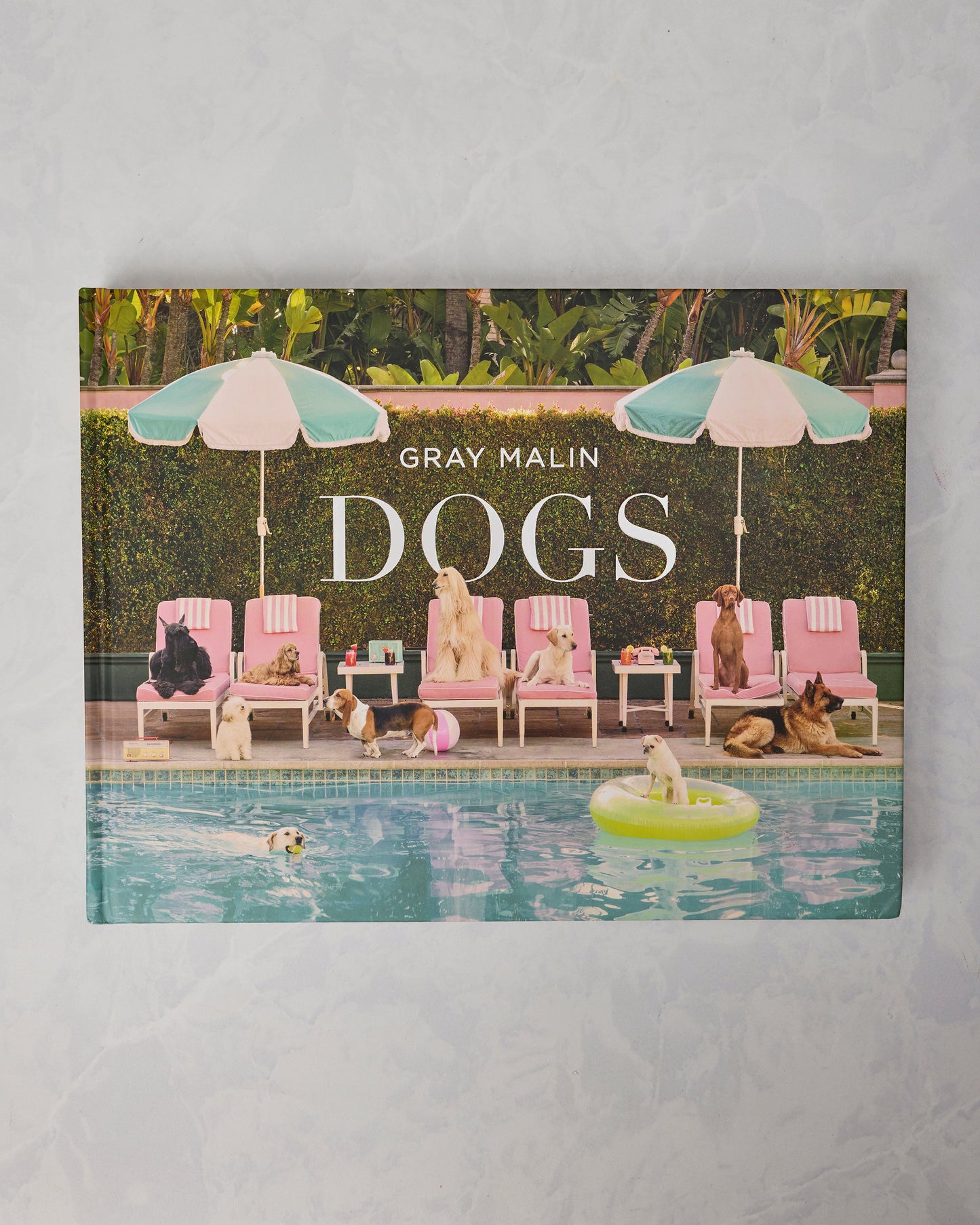 Multi - Gray Malin: Dogs - Abrams