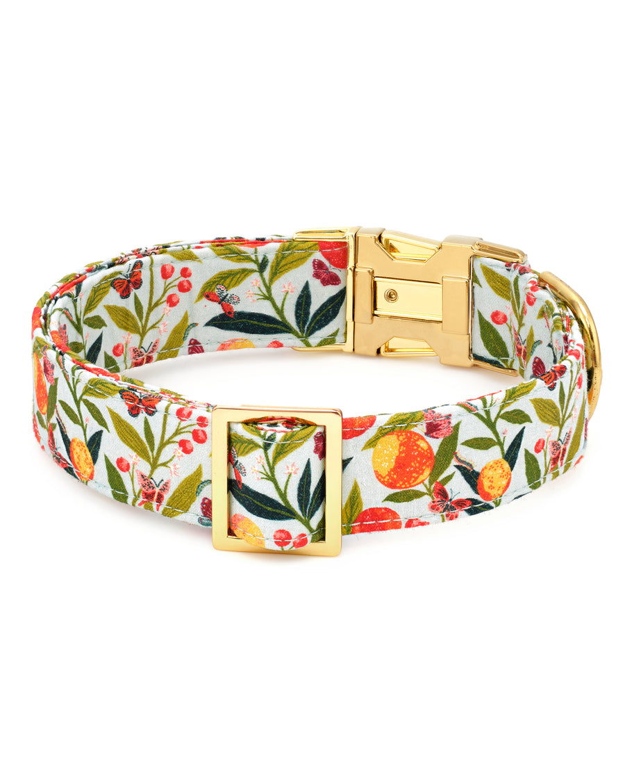 PF x The Foggy Dog Butterfly Grove - Dog Collar - Soft Blue - Printfresh