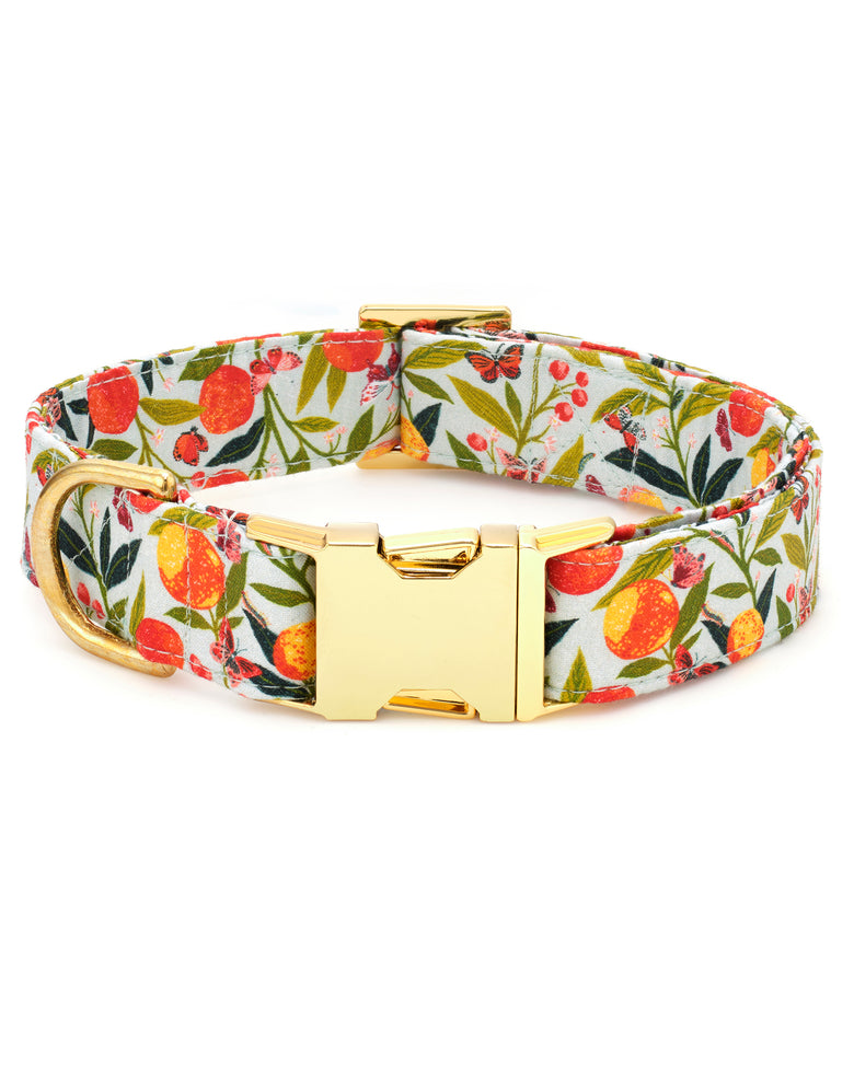 PF x The Foggy Dog Butterfly Grove - Dog Collar - Soft Blue - Printfresh