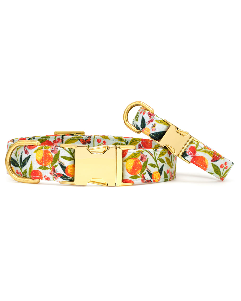 PF x The Foggy Dog Butterfly Grove - Walk Set Bundle - Multi - Printfresh