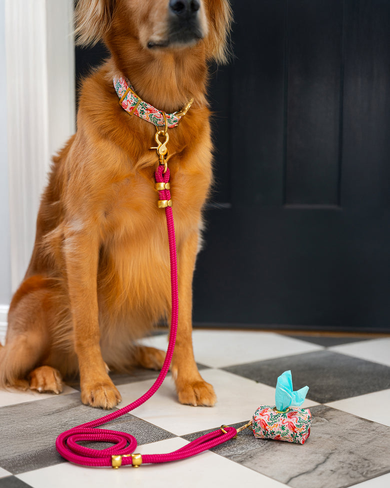 PF x The Foggy Dog Flock of Flamingos - Dog Collar - Rose - Printfresh