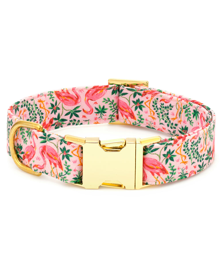 PF x The Foggy Dog Flock of Flamingos - Dog Collar - Rose - Printfresh