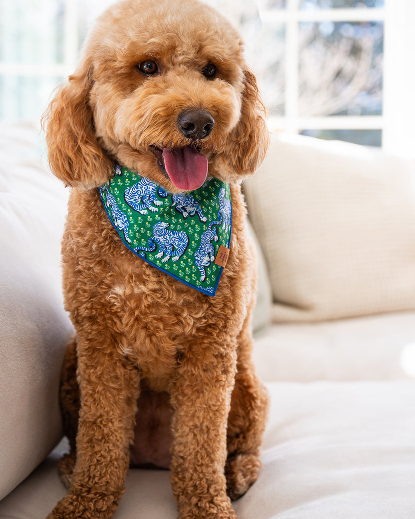 PF x The Foggy Dog Tiger Queen - Dog Bandana - Jade - Printfresh