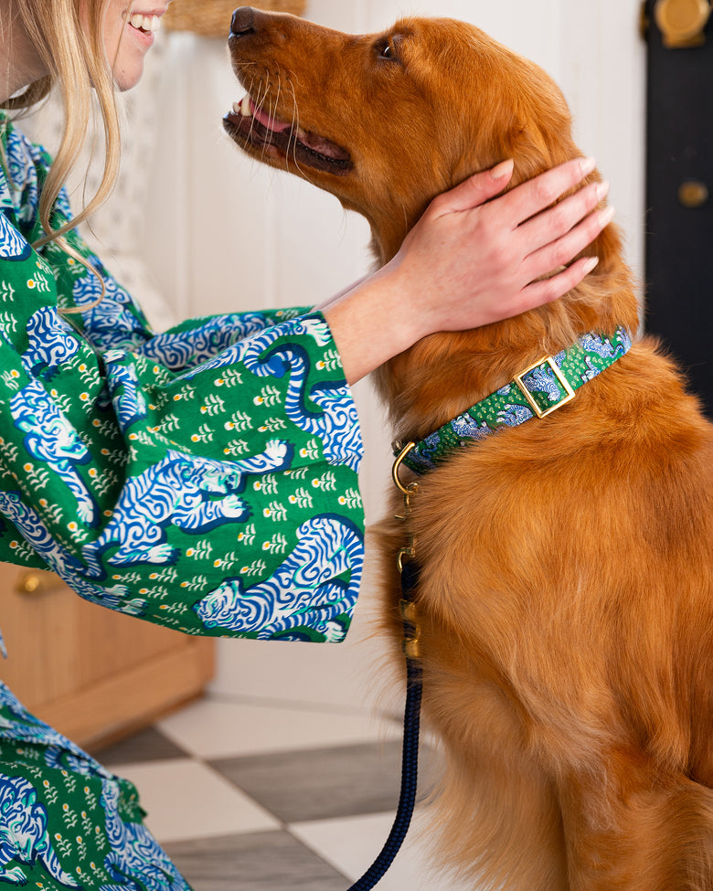 PF x The Foggy Dog Tiger Queen - Dog Collar - Jade - Printfresh