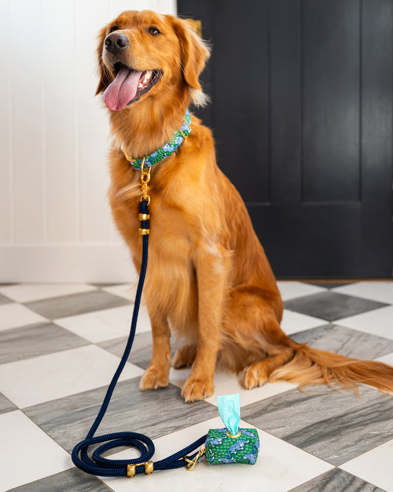 PF x The Foggy Dog Tiger Queen - Dog Collar - Jade - Printfresh