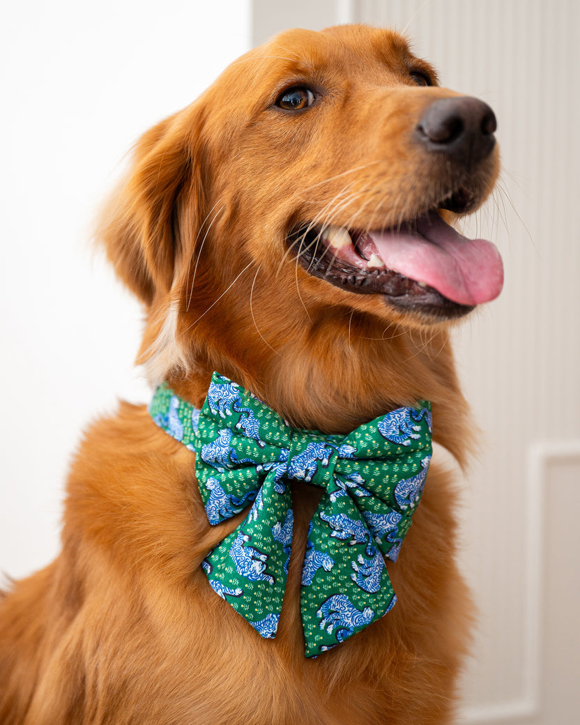 PF x The Foggy Dog Tiger Queen - Lady Dog Bow - Jade - Printfresh
