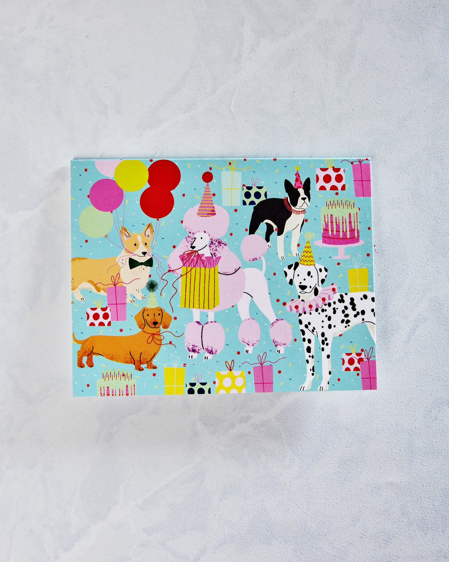 Multi - Birthday Dogs Card - Olive & Company - Printfresh