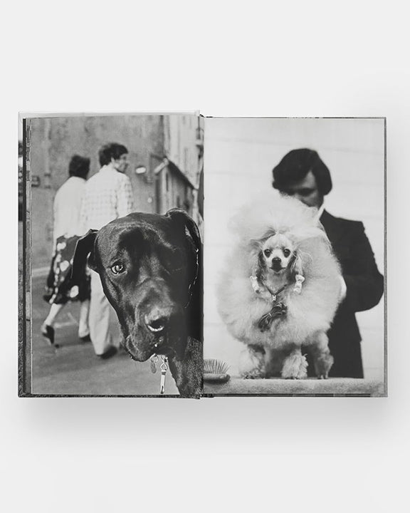 Black - Dogdogs Photography Book - Phaidon - Printfresh