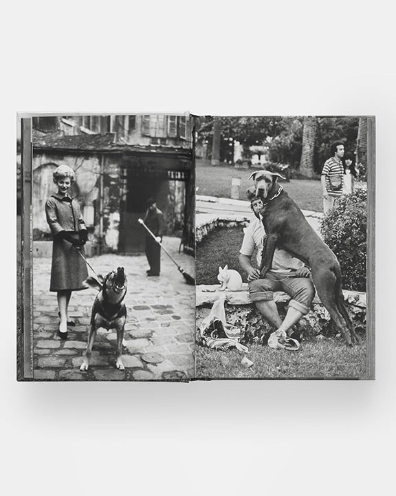Black - Dogdogs Photography Book - Phaidon - Printfresh