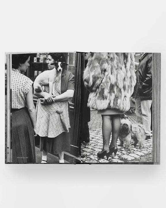 Black - Dogdogs Photography Book - Phaidon - Printfresh