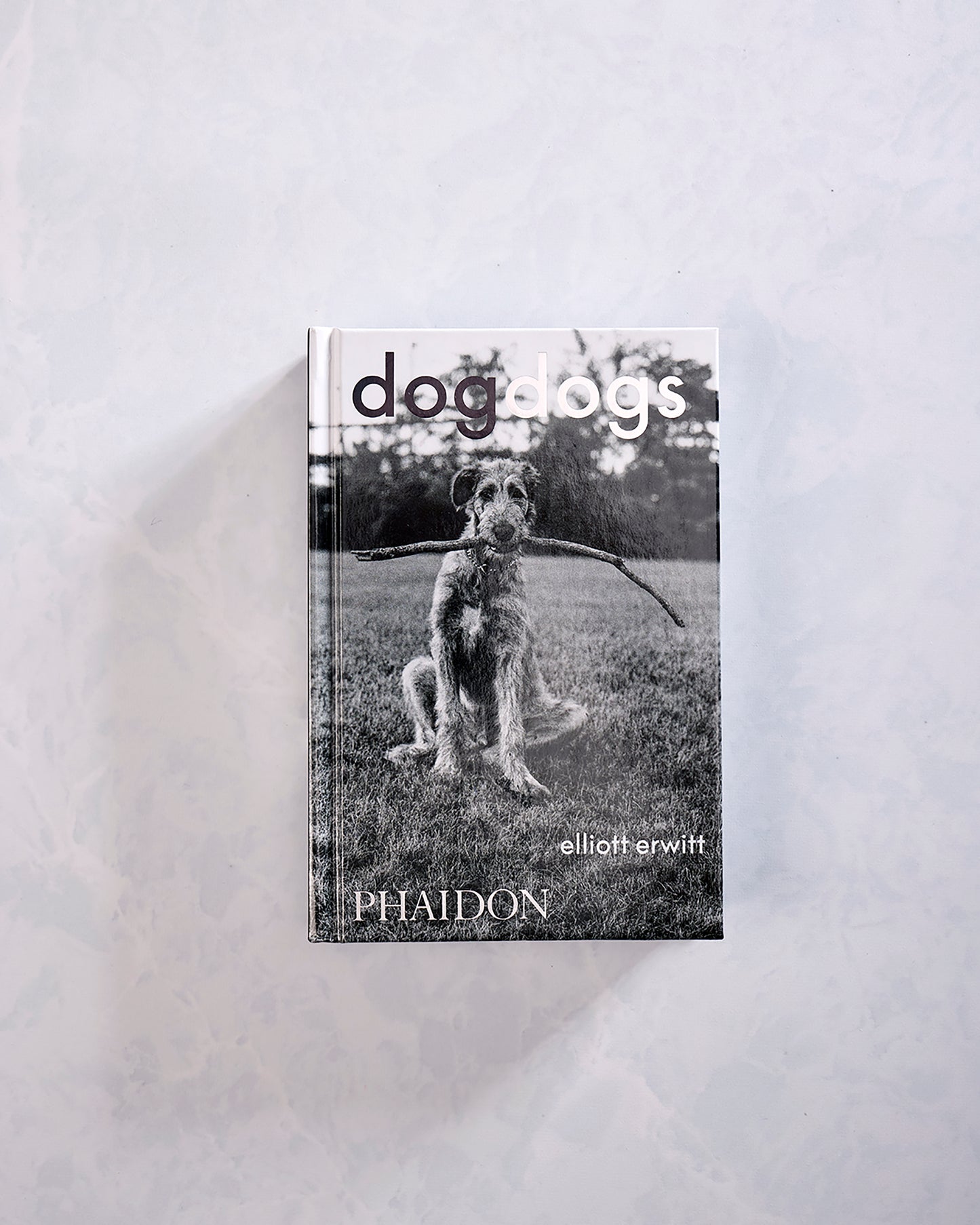 Black - Dogdogs Photography Book - Phaidon