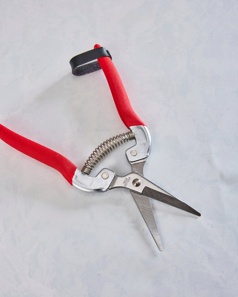 Garden of Paradise - Compact Garden Shears - Womanswork - Printfresh