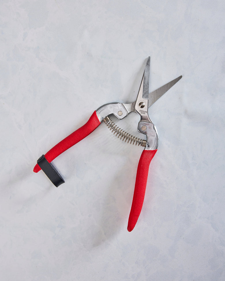 Garden of Paradise - Compact Garden Shears - Womanswork - Printfresh